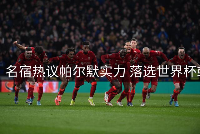 名宿热议帕尔默实力 落选世界杯或成转折契机